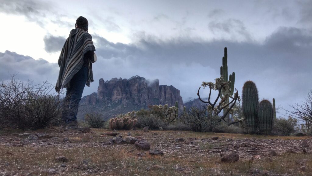 A figure in a striped poncho stands among saguaro and cholla, looking toward the Superstition Mountains under low gray cloud.