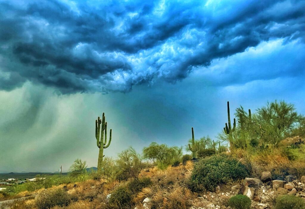 Rain falls from a heavy blue-gray cloud bank over saguaro and green desert scrub.